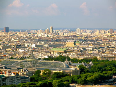 View of Paris from  the Eiffel Tower