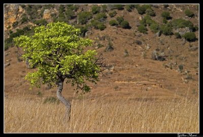 CRW_3318.jpg