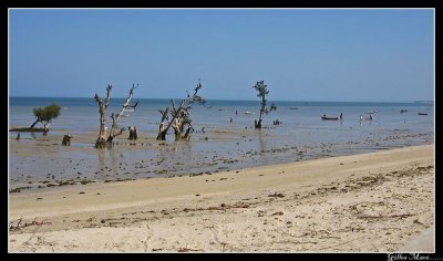 IMG_2849.jpg
