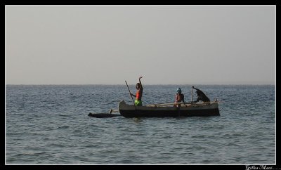 IMG_2852.jpg