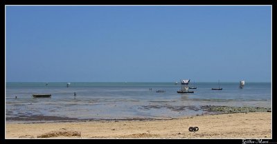 IMG_2856.jpg