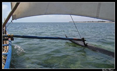 IMG_2869.jpg