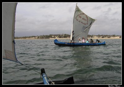 IMG_2870.jpg