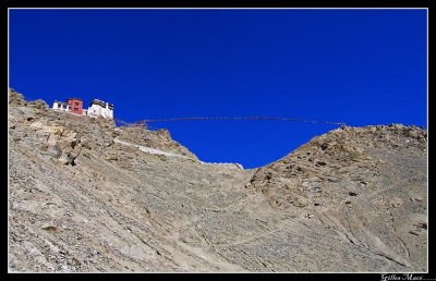 IMG_1348.jpg