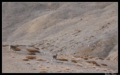 IMG_1513.jpg