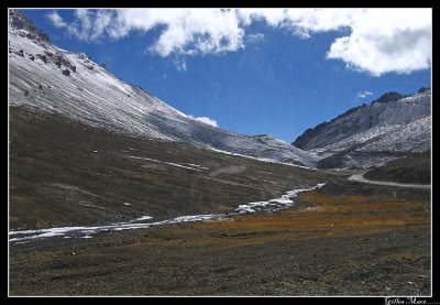 IMG_1516.jpg