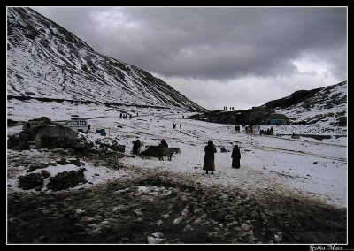 IMG_1525.jpg