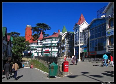 Shimla