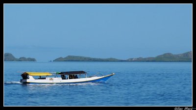 P1000506.jpg