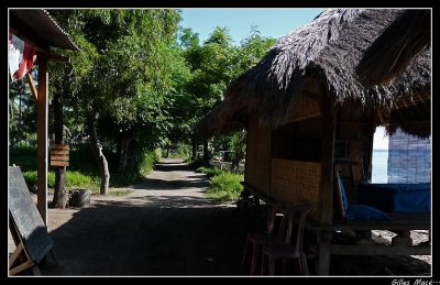 P1000885.jpg