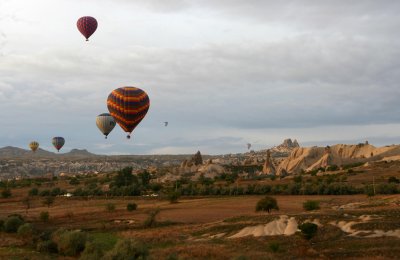 g1/86/398486/3/130201412.mojZMwPs.jpg
