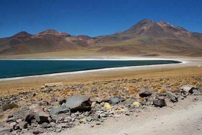 Laguna Cejar