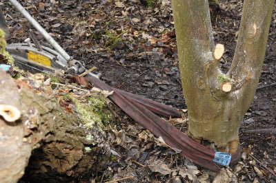 Winter Camp_0045.JPG