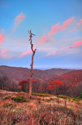 small hdr3.jpg