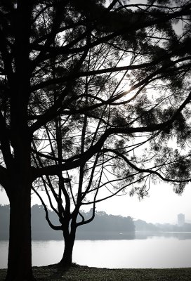 Solitude