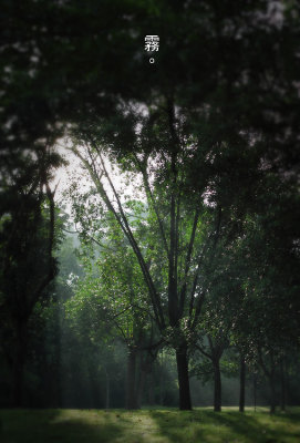 Fog