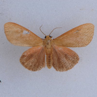 g1/86/545286/3/98097771.siKamGpe.jpg