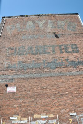 DSC_0231.JPG
