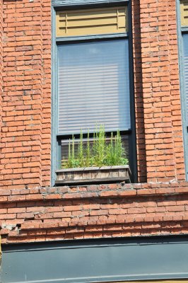 DSC_0233.JPG