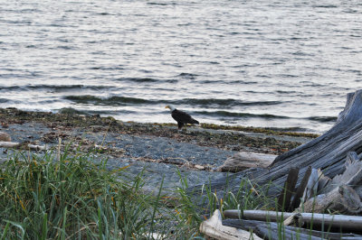 DSC_0284.JPG