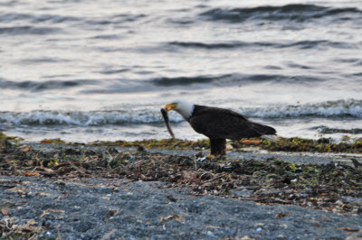 DSC_0286.JPG