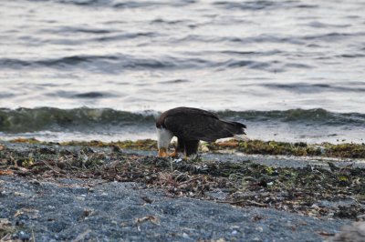 DSC_0287.JPG