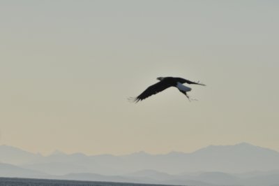 DSC_0288.JPG