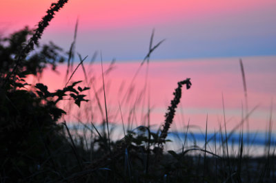 DSC_0424.JPG