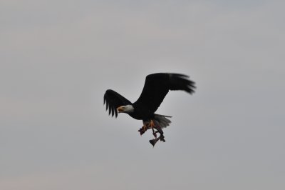 DSC_0539.JPG