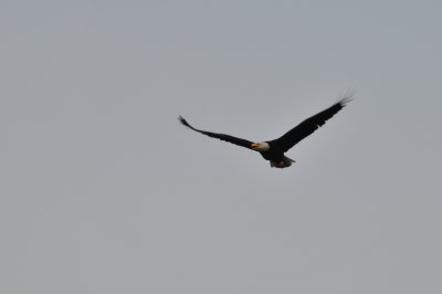 DSC_0535.JPG