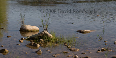 Colorado River and rocks pano