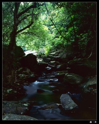 RVP001-Processed.jpg