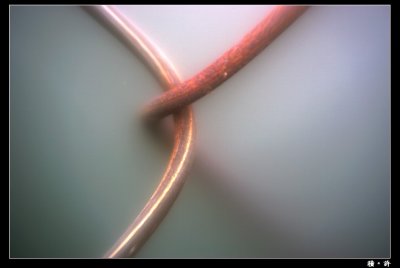 Heligon03.jpg