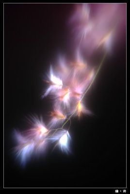 Heligon05.jpg
