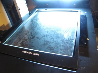 IMG_6536.jpg