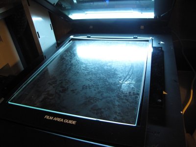 V700