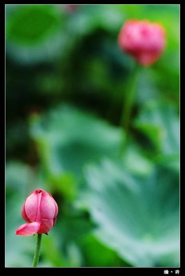 200_2_02.jpg