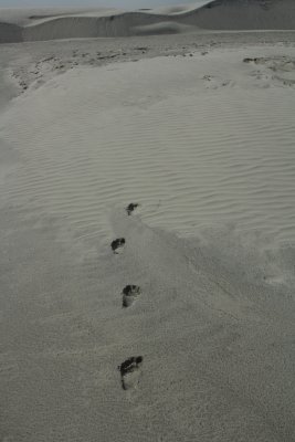 vanishing under the sands