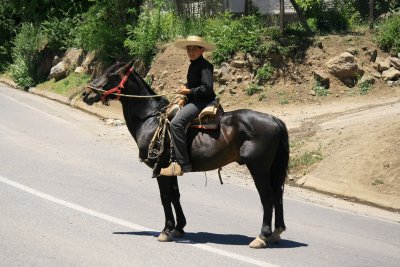 IMG_4587.JPG