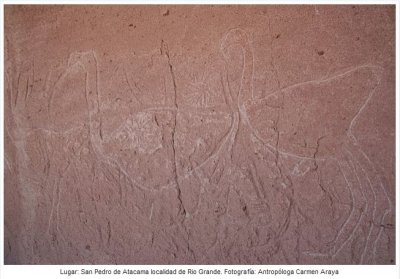 Alto Taira glyph snip.JPG