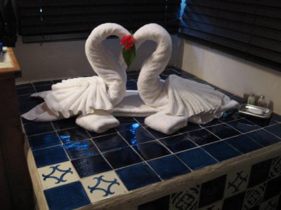 Towel Swans