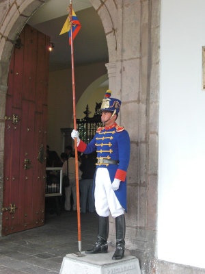 CIMG0342.jpg