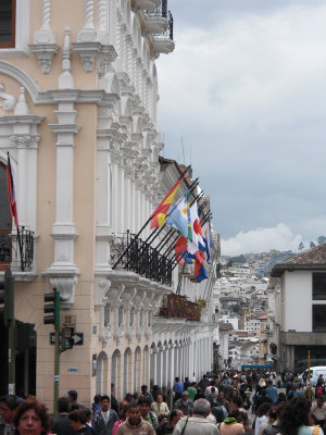 CIMG0343.jpg