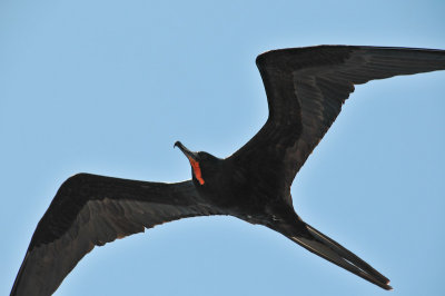 LMS_1470.jpg