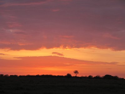 IMG_0581.jpg
