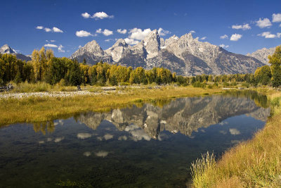 River Reflection