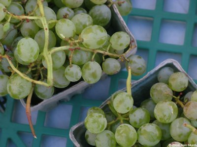 Grapes on crate