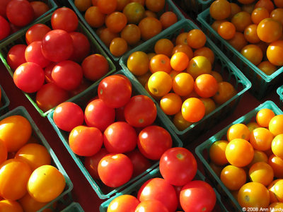 Cherry tomatoes early morning