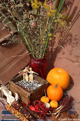 Bountiful harvest
