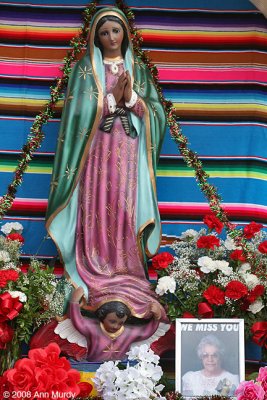 Guadalupe Altar with serape